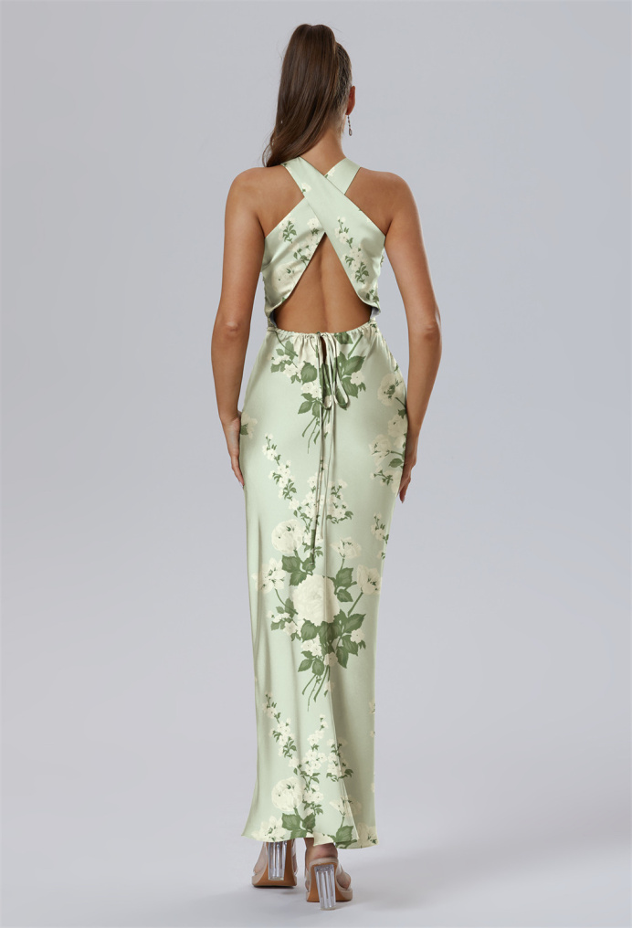 AW Teigne Dress